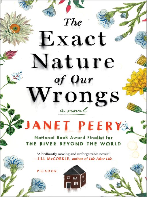 Title details for The Exact Nature of Our Wrongs by Janet Peery - Available